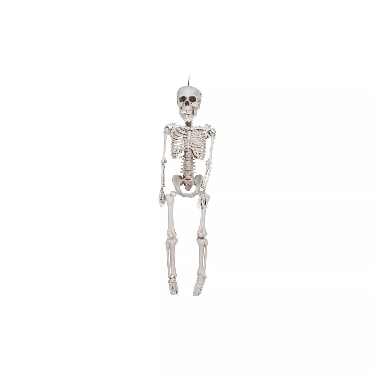 20 In Plastic Skeleton