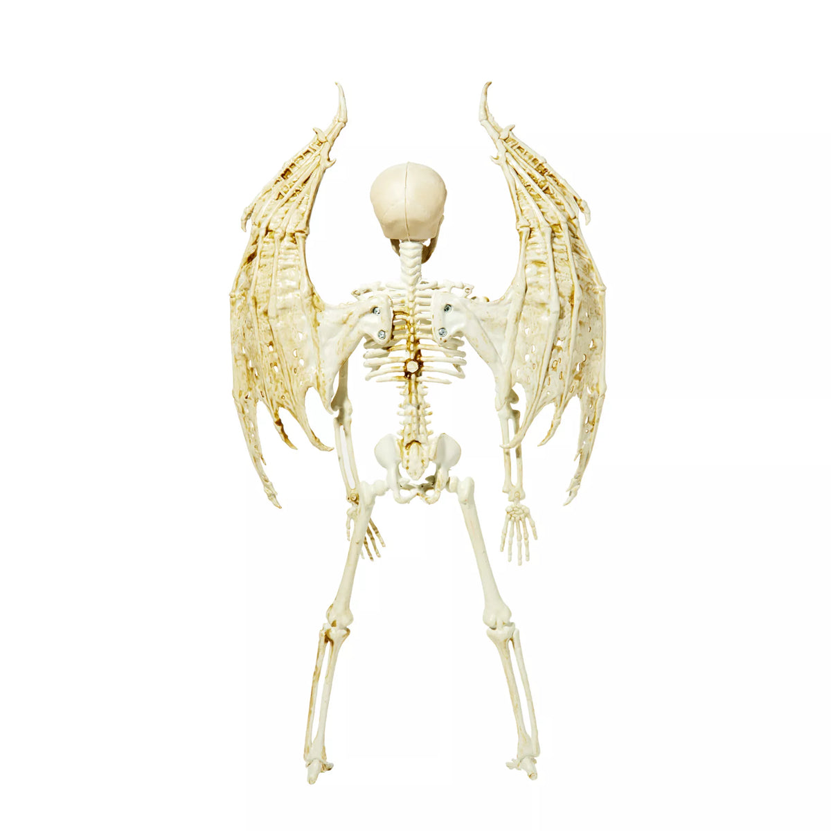 Angel Skeleton Static Prop