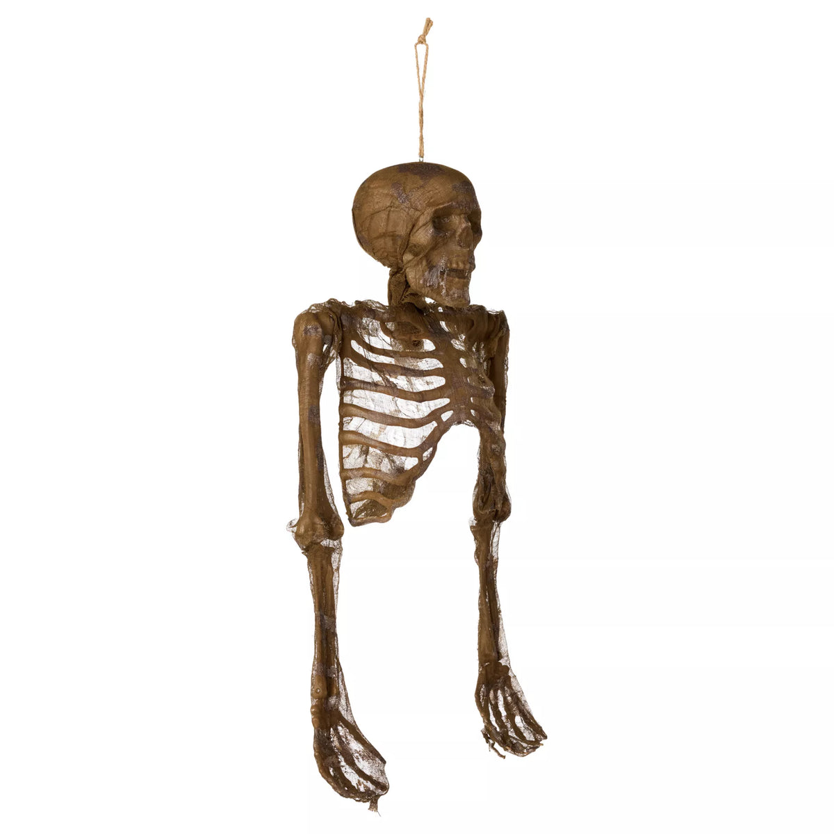 Hanging Decaying Skeleton Half Body